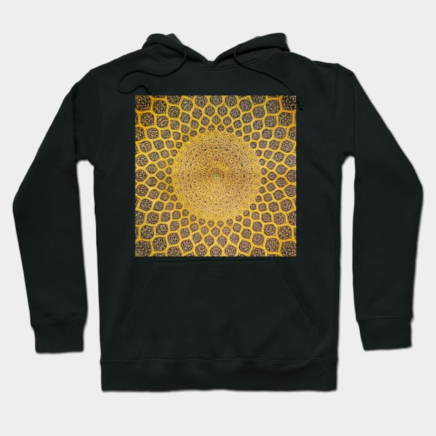 Persian Ceramic Design 59 Hoodie by SilkMinds